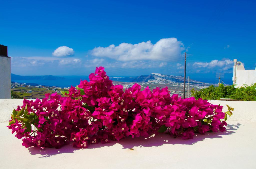 Chrisanthi Villa Πύργος Δωμάτιο φωτογραφία